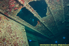 interior of wreck